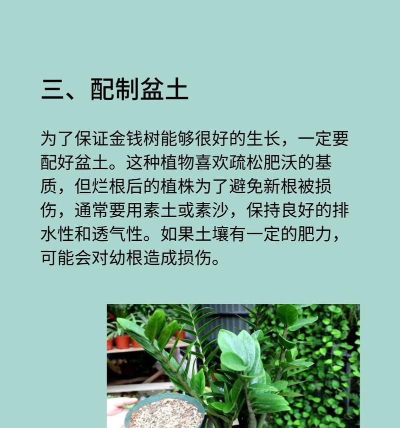 金钱树烂根（金钱、贪欲和人性的纠结缠绕）