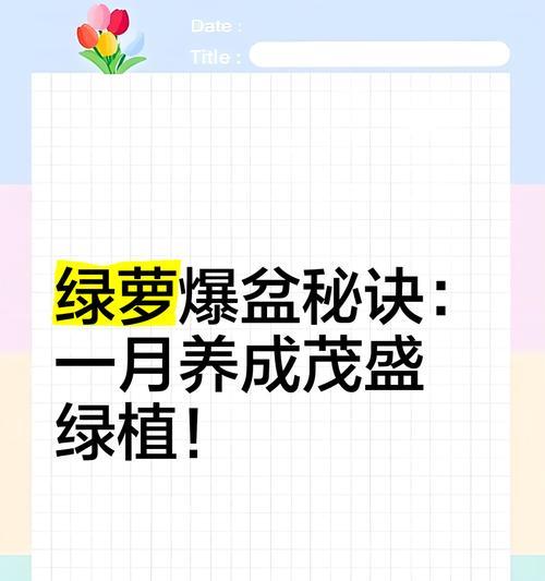 绿萝叶子爆满了怎么办？（绿萝叶子爆满，学会正确的修剪和管理方法，让它重现健康的美）