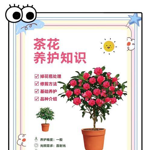剪茶花的技巧与方法（掌握茶花剪枝要点，打造美丽花园）