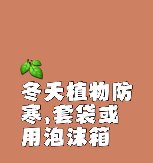 植物过冬的关键措施（保护植物顺利度过严寒季节的有效方法）