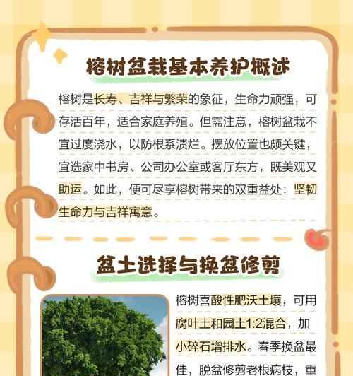 榕树的养护与保养（助你打造繁茂的绿色家园）