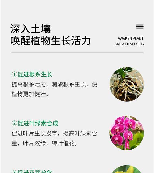 蝴蝶兰喜肥之肥料选择（如何选择适合蝴蝶兰的肥料？）