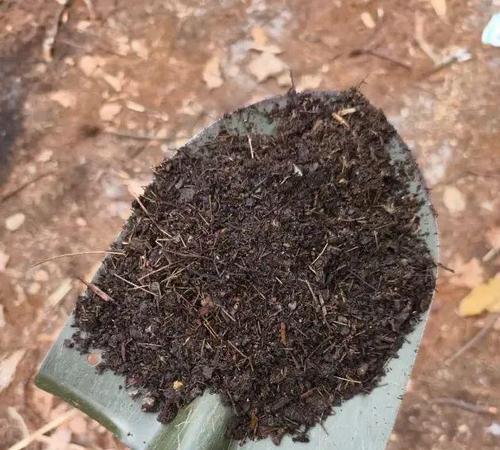 打造养花榕树的土壤配方（以提高养花榕树生长健康为目标的土壤调配方法）