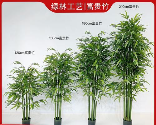 鸡爪槭枯叶病的防治方法（从源头控制，科学喷药，有效防治）