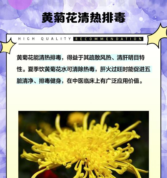 黄波斯菊的养殖技巧（掌握关键要点，轻松养活黄波斯菊）