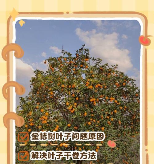 利用掉落的叶子创造可持续的生态循环（将枯叶变废为宝，打造环保新未来）