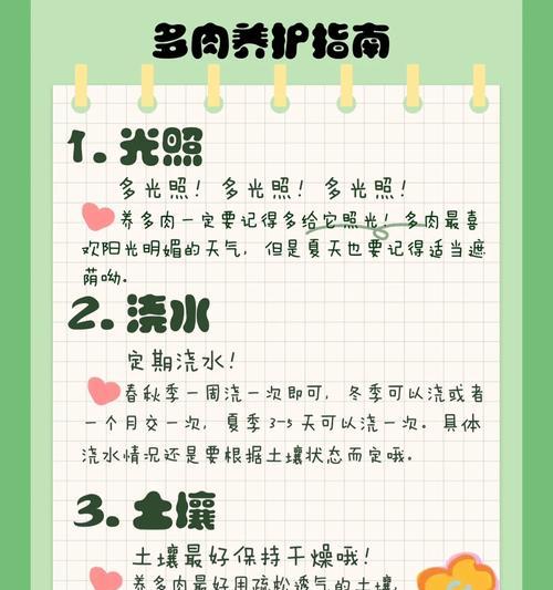 小圆贝多肉的养殖技巧（打造健康美丽的小圆贝多肉，一步一步教你如何养护）