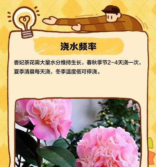 以酸奶浇茶花的养护方法（打造茶花盛放的秘诀，酸奶助力）