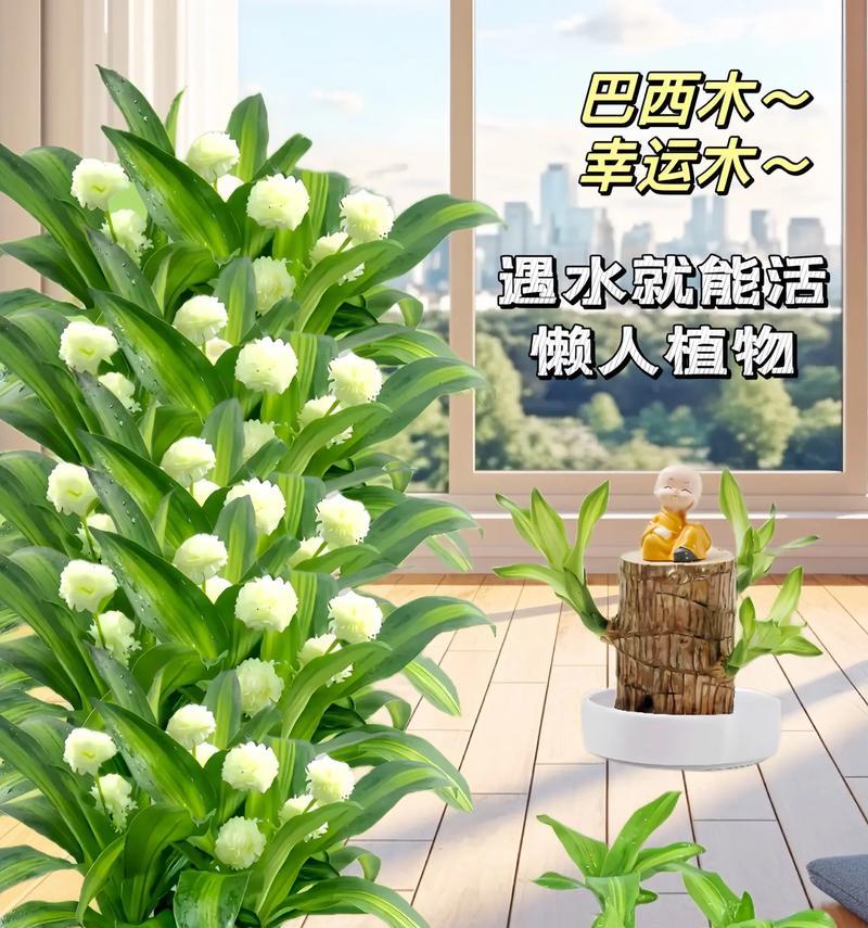 如何养护巴西木迎接冬天（巴西木养护指南，温暖迎接寒冷季节）