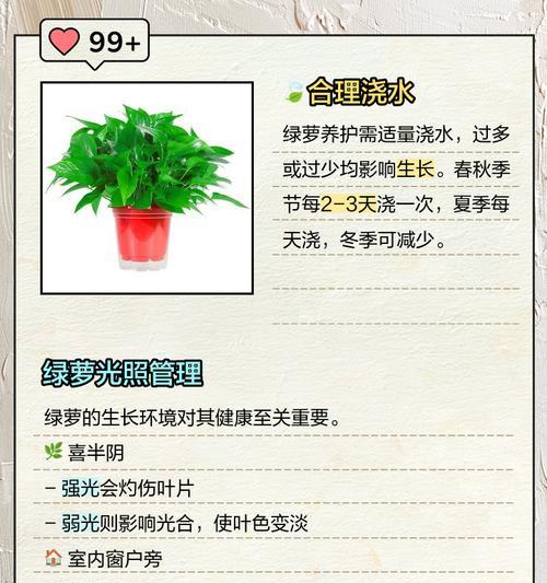 绿萝叶子水培发黄的原因及解决方法（探究绿萝叶子水培发黄的成因以及有效解决方法）