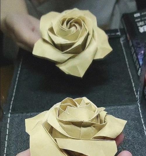 如何剪玫瑰花以保持长久鲜艳（玫瑰花剪枝技巧分享，让鲜花更持久）
