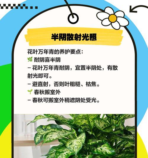 如何处理花叶万年青叶子变小的问题（快速恢复健康叶子的关键方法）