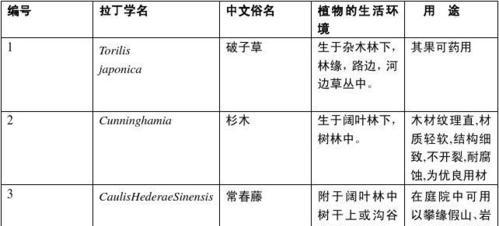 青苔（探究青苔的生态特征及功能）