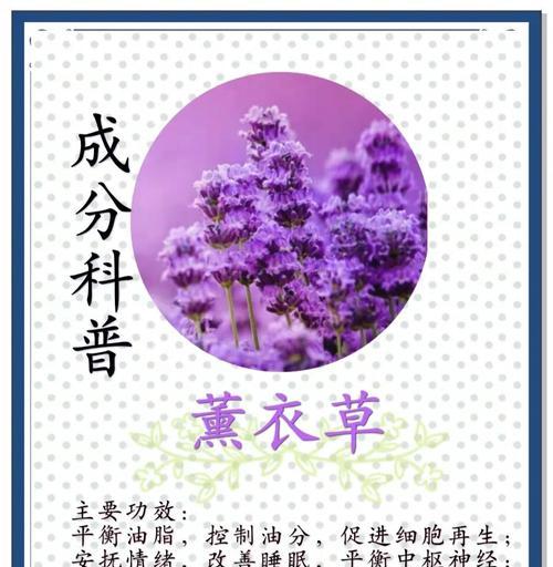 拯救奄奄一息的薰衣草盆栽（如何救活你的薰衣草盆栽，让它重新焕发生机）