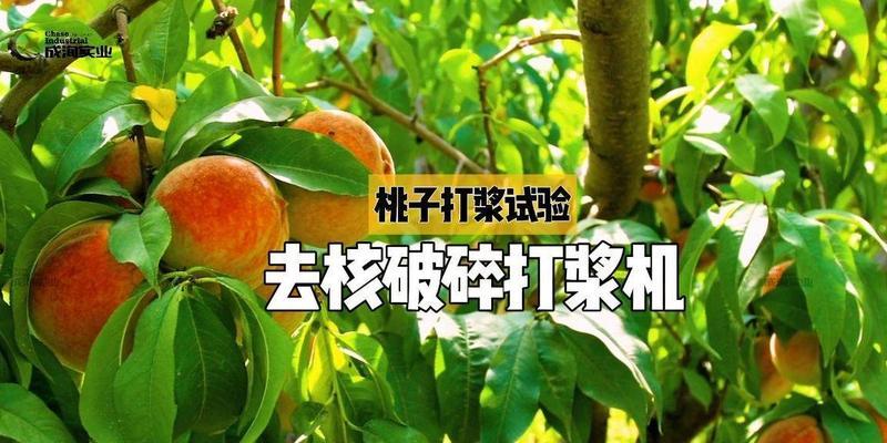 如何简单快速地削皮桃子？（最有效的桃子去皮方法大揭秘）