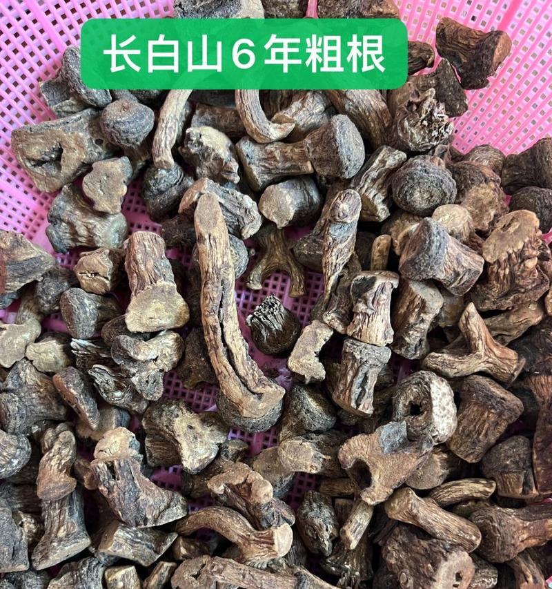 蒲公英的根能吃吗？——揭秘蒲公英根的营养价值（探究蒲公英根的味道和烹饪方法）