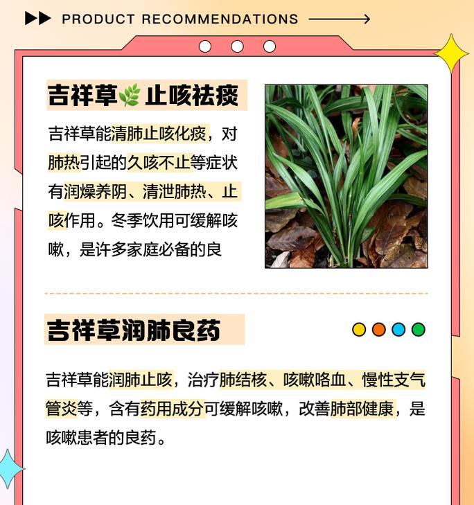 吉祥草的生长环境及适应能力（探究吉祥草的生态特点和种植条件）