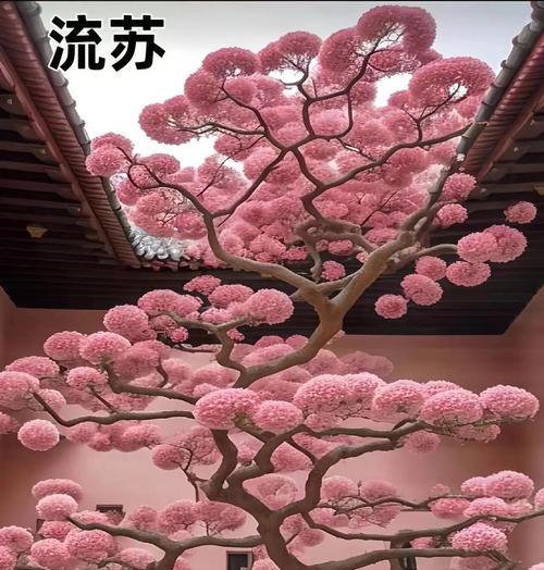 家庭院子种树指南（打造美丽庭院的秘诀，根据空间和需求选择合适的树种）