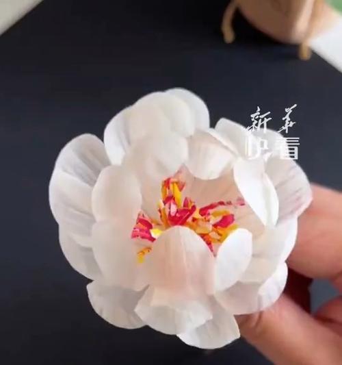 大蒜花的制作与应用（探索大蒜花的制作方法和多样化应用）