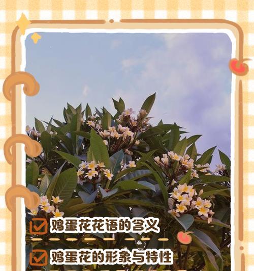 平淡简单，如同白色素衣的花语（揭秘“素衣花”的15种花语）