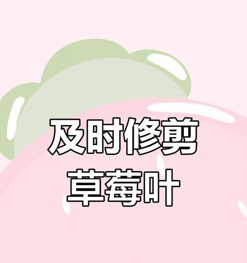 草莓修剪指南（草莓剪枝的方法与步骤）
