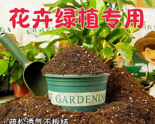 鲜花种植指南（从土壤准备到细致养护，打造美丽花园的秘诀）