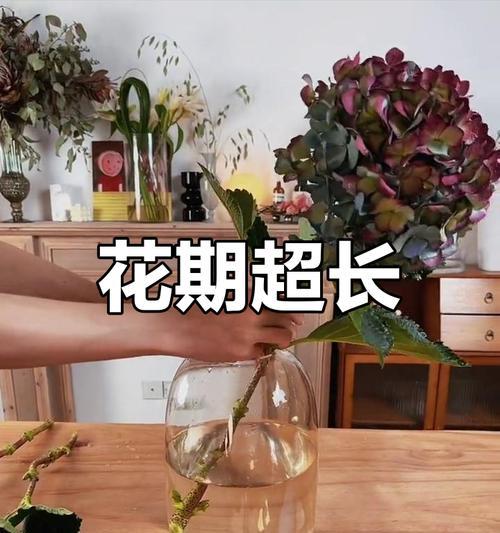 保存干花的技巧和方法（美丽花朵的永恒记忆——干花保存的小妙招）