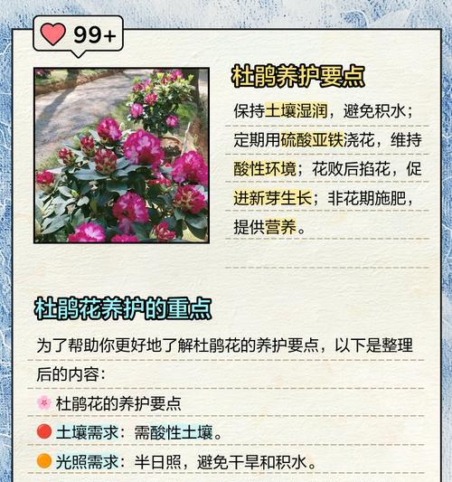 如何保持杜鹃酸性土壤？（有效调控土壤pH值的关键）