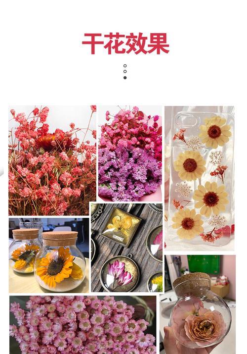 如何将新鲜玫瑰制作成干花（简易干花制作方法，玫瑰干花制作）
