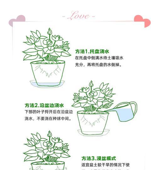 萝卜海棠的养殖技巧与注意事项（掌握养殖方法，打造美丽花园）