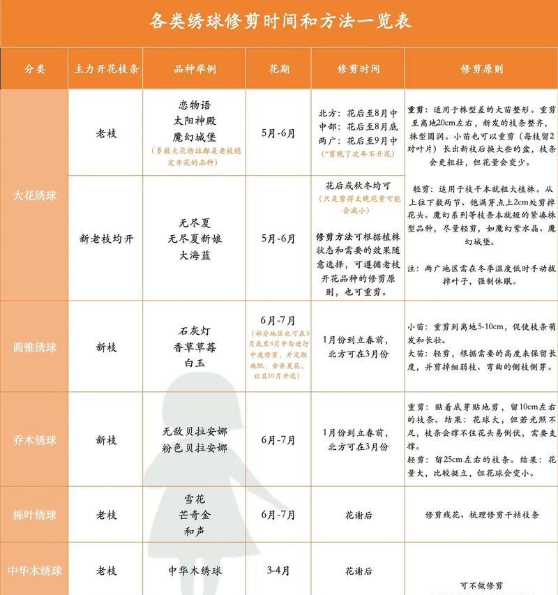 花草修剪的最佳时间（让你的花草更美丽的养护技巧）