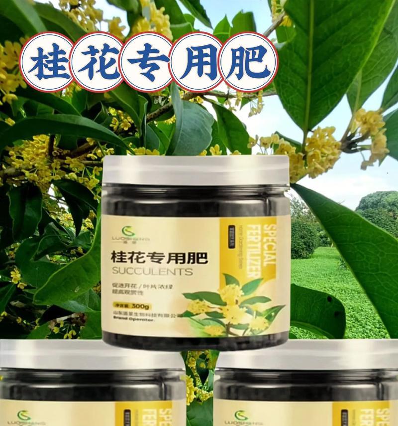 花卉肥料的选择与使用（肥料成分、施用方法、注意事项）