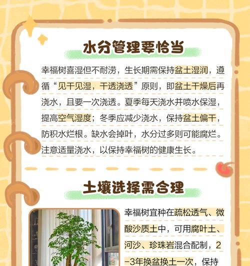 怎样养护大型幸福树，使其茂盛繁荣（掌握关键技巧，打造绿意盎然的幸福之树）