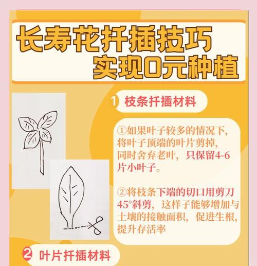 插扦种植扶桑花的技巧（如何正确插扦扶桑花并保证成功生根）