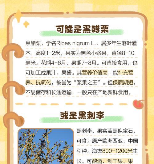 黑豆成熟上市时间（探究黑豆的生长周期和上市时间）