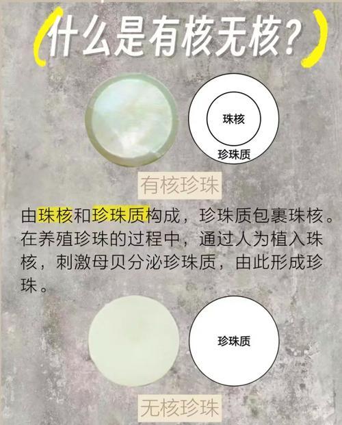 掌握最佳养殖技巧，打造漂亮的多肉紫珍珠（了解关键养殖要点，让你的多肉紫珍珠成长茁壮）