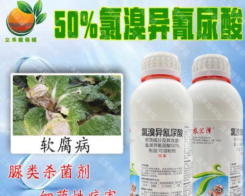 芹菜软腐病的防治方法（选择合适的药物，提高防治效果）