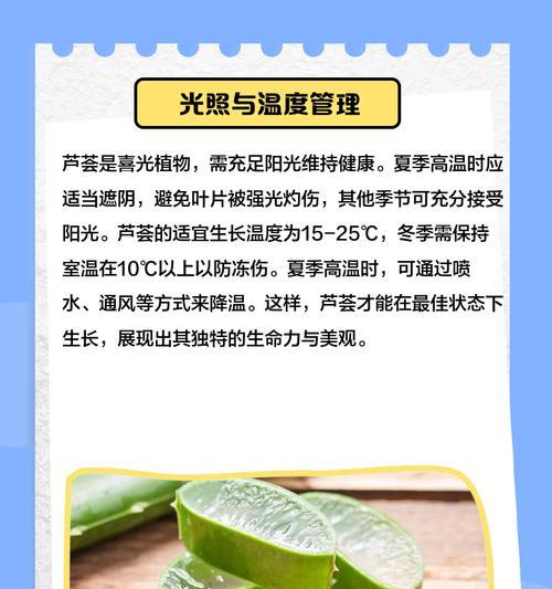 芦荟养护宝典（打造健康生活的秘密武器）