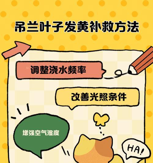 兰叶片发黄的原因及处理方法（兰叶片发黄的可能原因和有效措施）
