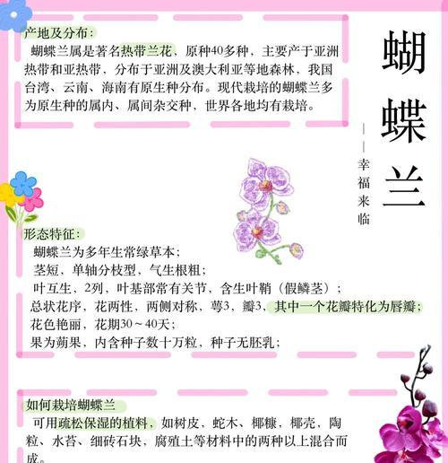 蝴蝶兰的花与叶的辨别及特点研究（揭秘蝴蝶兰花与叶的区别，了解其独特特点）