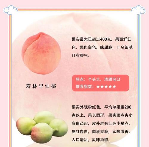 如何挑选优质的竹桃水果？（了解竹桃水果的特点与选购要点）