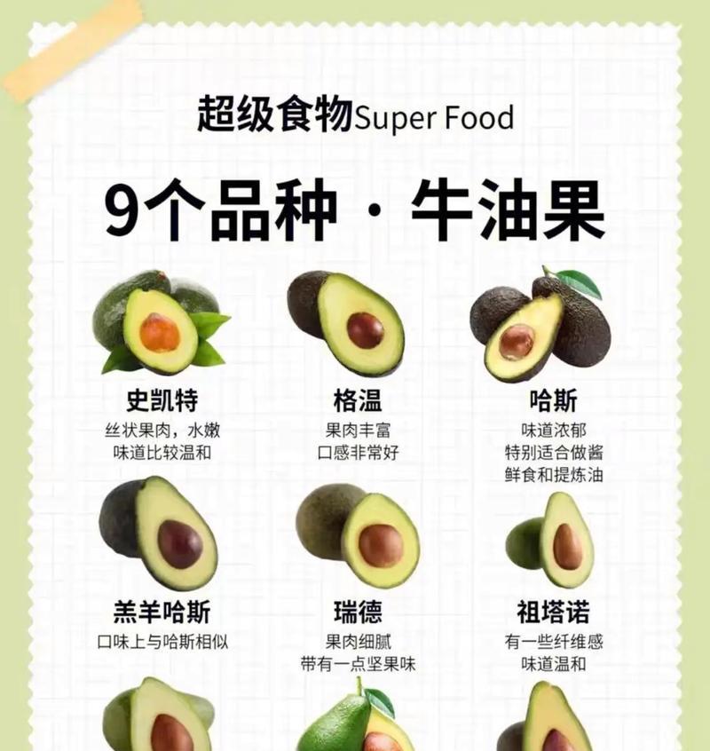 全球最佳牛油果产区的探秘（寻找最适合种植牛油果的国家和地区）