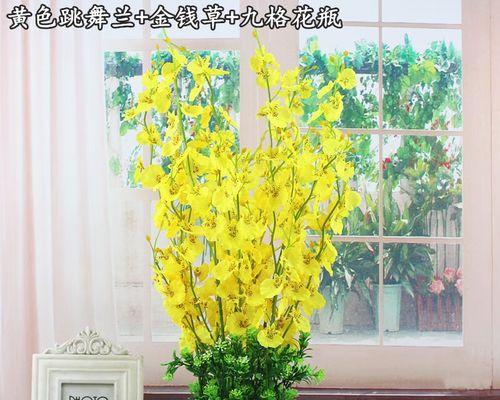 舞动芳香，跳舞兰花的魅力（探索跳舞兰之美，品味花之舞姿）