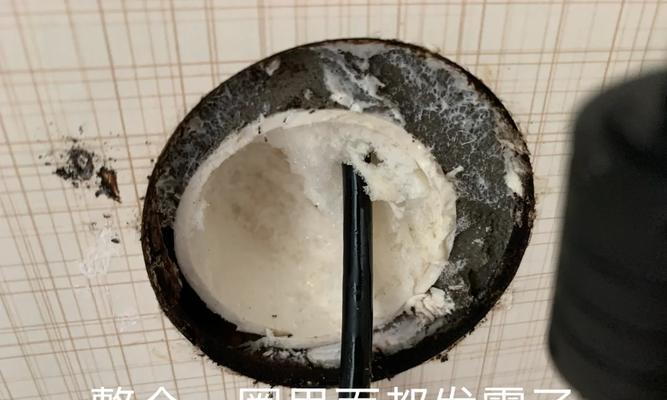 黄桷兰长虫的处理方法（保护黄桷兰，消除长虫威胁）