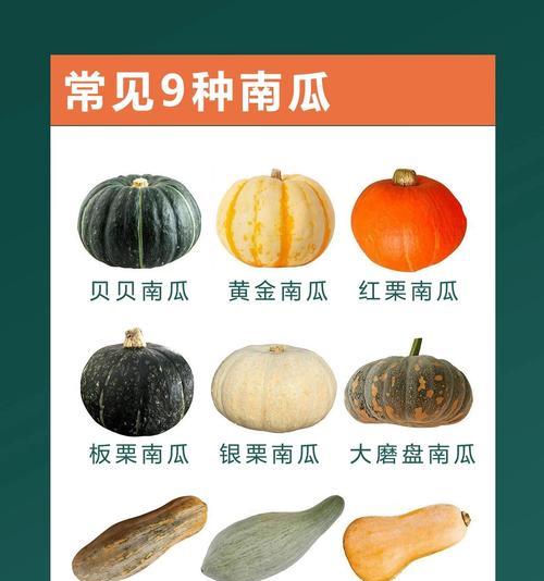 南瓜的生命周期及特性分析（一年生还是多年生，南瓜的生长与发展）