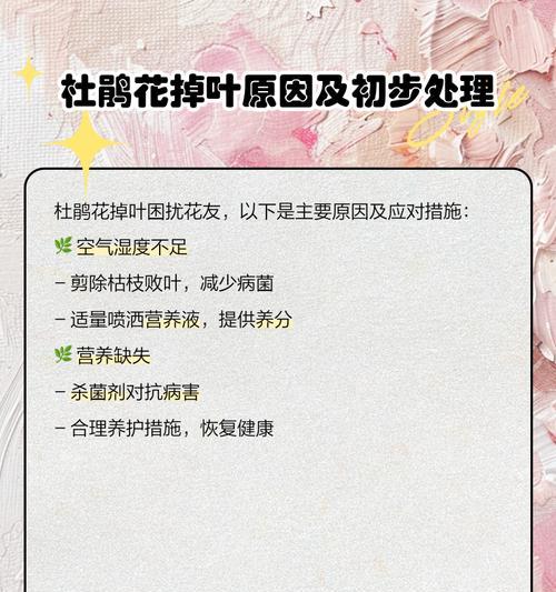 如何解决杜鹃花叶子小的问题（杜鹃花叶子小问题原因及解决方法）