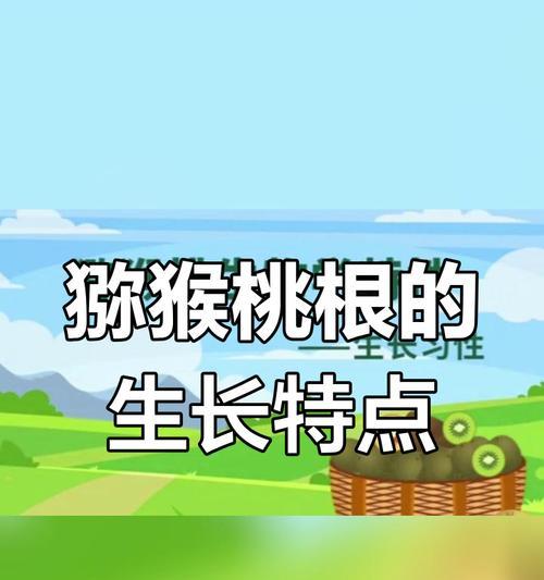 探秘弥猴桃生长的环境条件及特点（弥猴桃种植技巧、耐寒能力、成熟期等特点全解析）