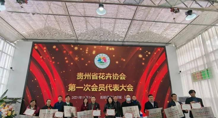 花卉协会——热爱花草，共创美好（推动花卉文化交流，促进行业发展）