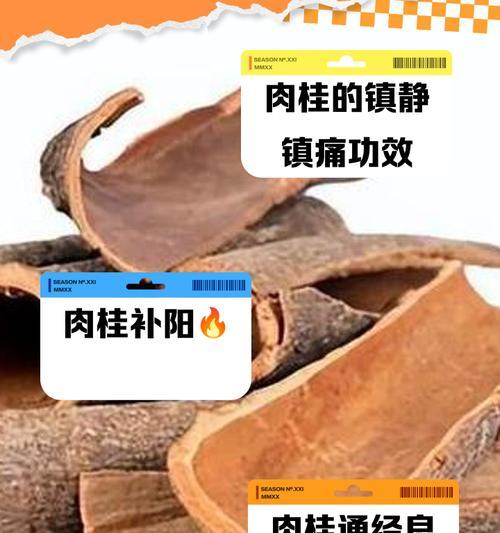 桂皮的功效与作用——探秘中药神奇之力（从烹饪到医学，桂皮有着广泛的应用领域）
