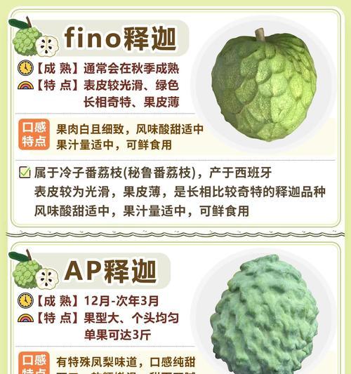 释迦果成熟季节揭秘（探究释迦果的成熟时间与品质）